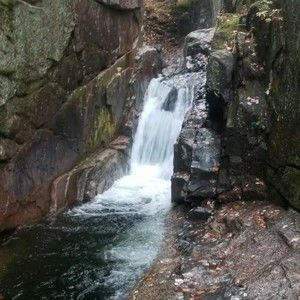 Meet your Posher, Kraig